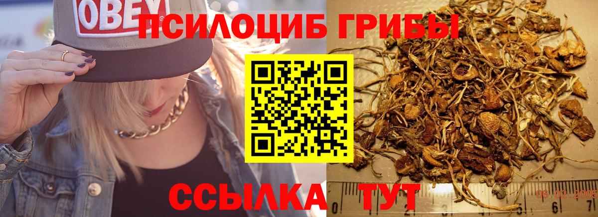 Псилоцибиновые грибы ЛСД  Вход с VPN  Советская Гавань 