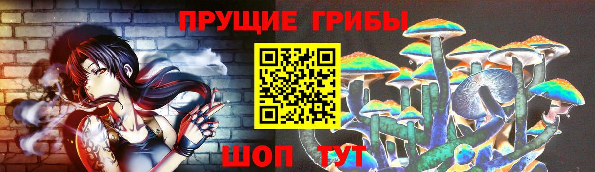 Псилоцибиновые грибы мицелий Советская Гавань